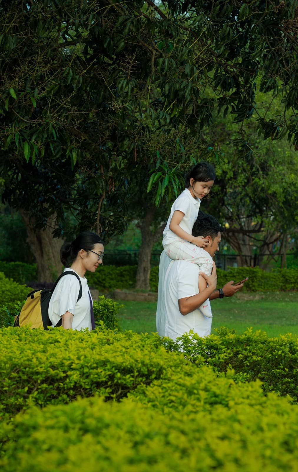 Family walking beneath a green tree canopy