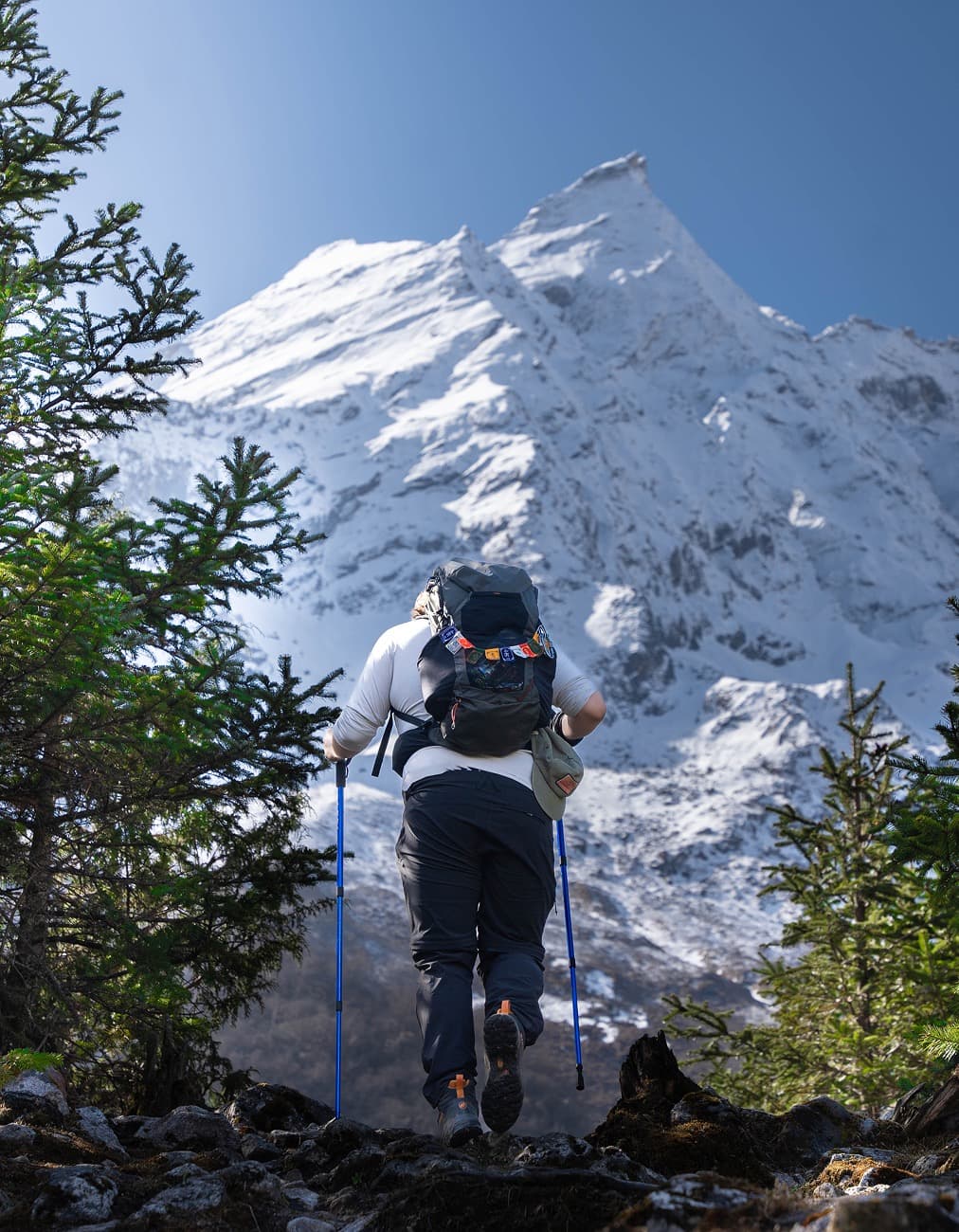 Traveller looking toward a snow-capped Himalayan peak